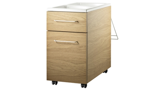 Mobile Storage Unit