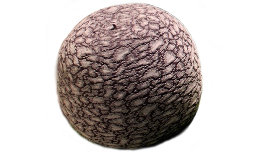 Click here to view larger image Casalis - Earth Palla by Liset van der Scheer